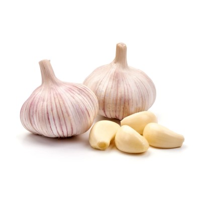 Чеснок крупный 1 кг - купить в Гальчевке